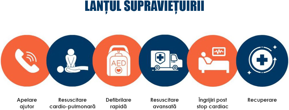 Lantul supravietuirii